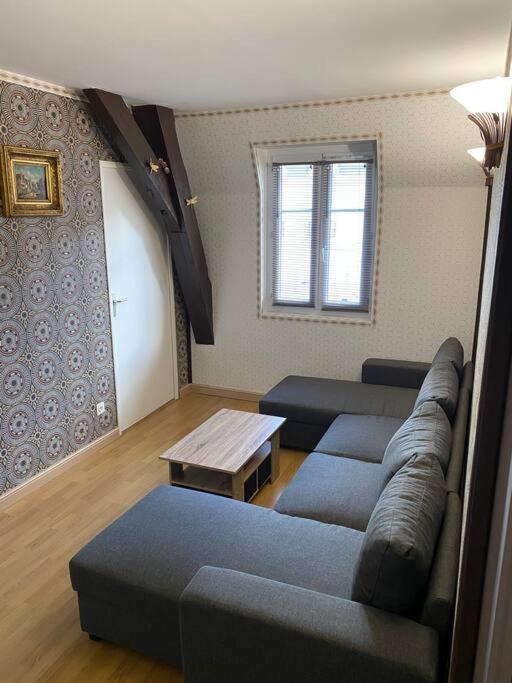 Foch Gare Joli Appartement En Centre-Ville ディジョン エクステリア 写真